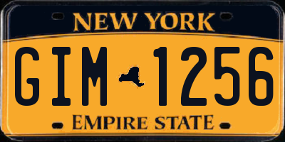 NY license plate GIM1256