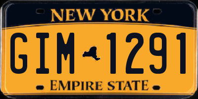 NY license plate GIM1291