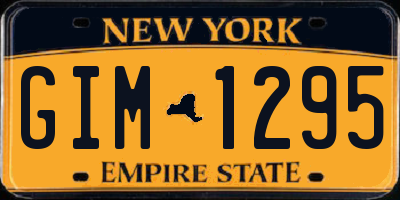 NY license plate GIM1295