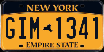 NY license plate GIM1341