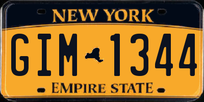 NY license plate GIM1344