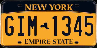NY license plate GIM1345