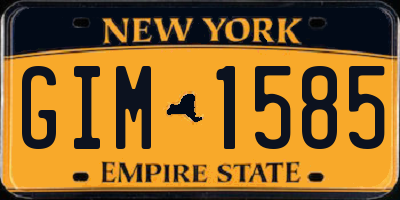 NY license plate GIM1585