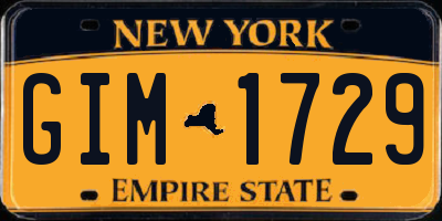 NY license plate GIM1729