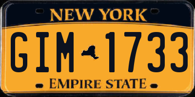 NY license plate GIM1733