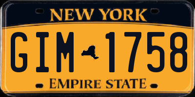 NY license plate GIM1758