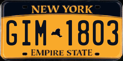 NY license plate GIM1803