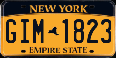 NY license plate GIM1823