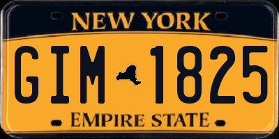 NY license plate GIM1825