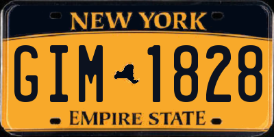 NY license plate GIM1828