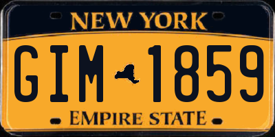 NY license plate GIM1859