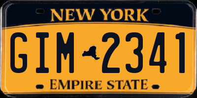 NY license plate GIM2341