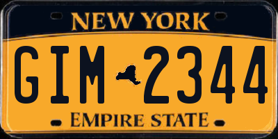 NY license plate GIM2344