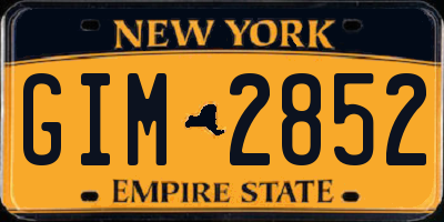 NY license plate GIM2852