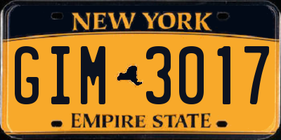 NY license plate GIM3017