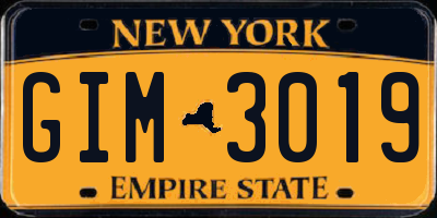 NY license plate GIM3019