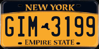 NY license plate GIM3199