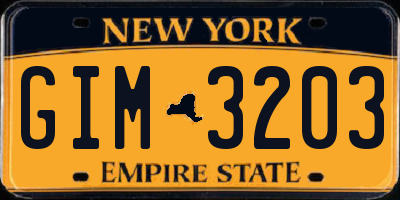 NY license plate GIM3203