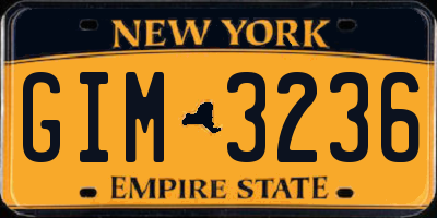 NY license plate GIM3236