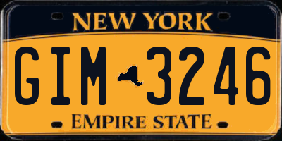NY license plate GIM3246