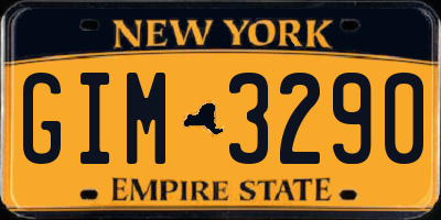 NY license plate GIM3290