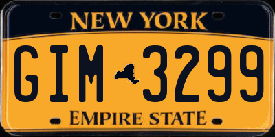 NY license plate GIM3299