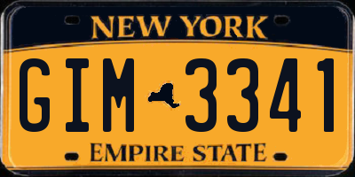 NY license plate GIM3341