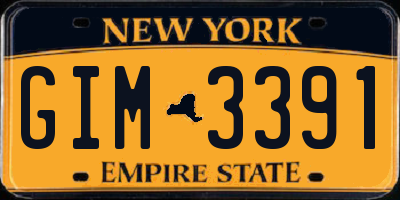 NY license plate GIM3391