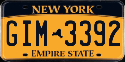NY license plate GIM3392