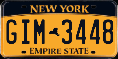 NY license plate GIM3448