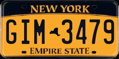 NY license plate GIM3479