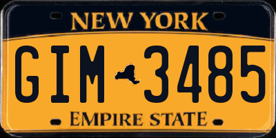 NY license plate GIM3485