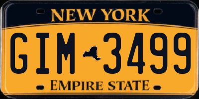 NY license plate GIM3499