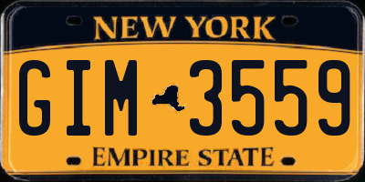 NY license plate GIM3559