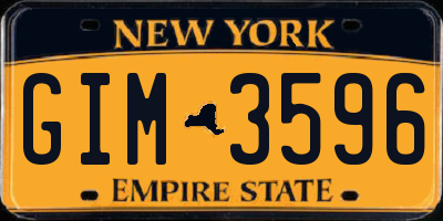 NY license plate GIM3596