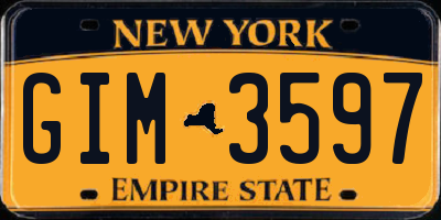 NY license plate GIM3597