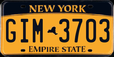 NY license plate GIM3703