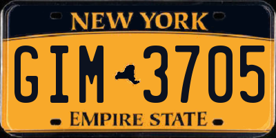 NY license plate GIM3705