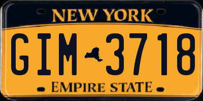 NY license plate GIM3718