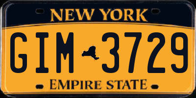 NY license plate GIM3729