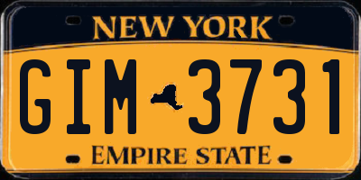 NY license plate GIM3731