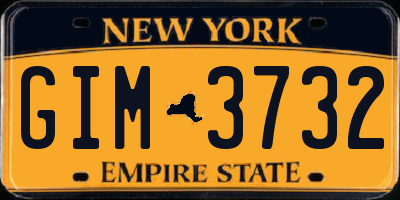 NY license plate GIM3732