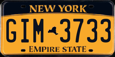 NY license plate GIM3733