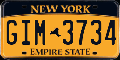 NY license plate GIM3734