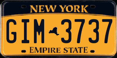 NY license plate GIM3737