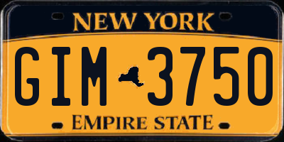 NY license plate GIM3750