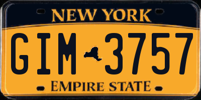 NY license plate GIM3757
