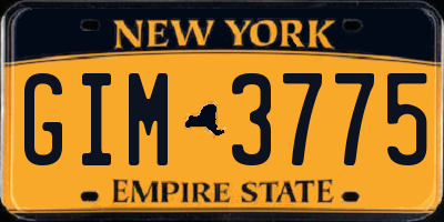 NY license plate GIM3775