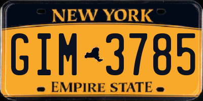 NY license plate GIM3785