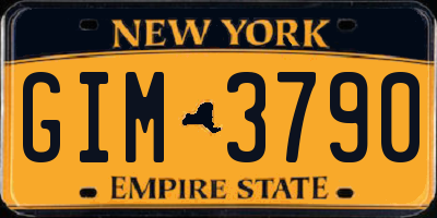 NY license plate GIM3790